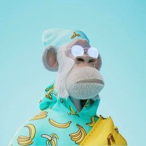 Meet your Posher, Nelson